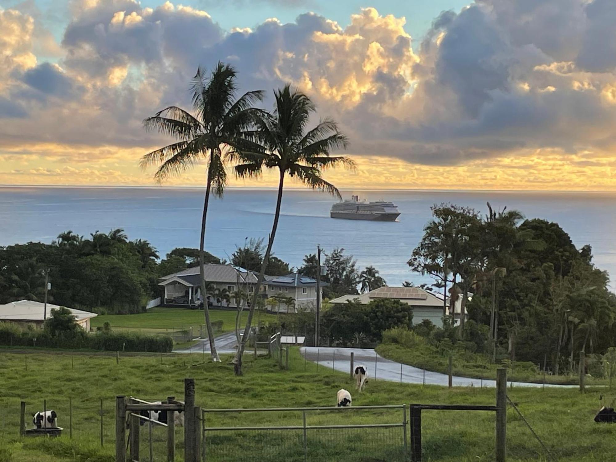 Hawaii Magic Skies Farmstay Paukaa 外观 照片